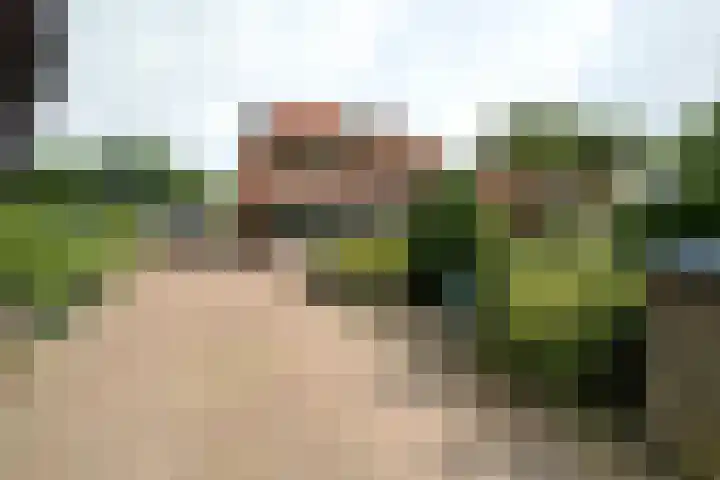Stationsweg West 181 Woudenberg thumbnail 47