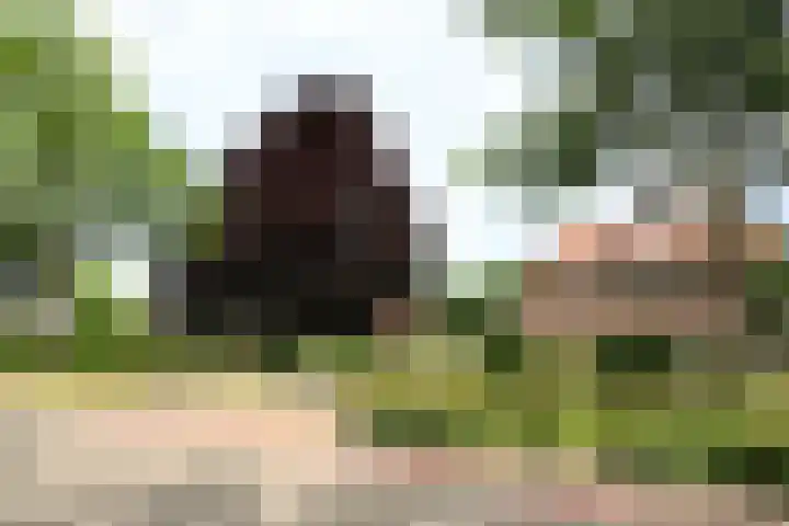 Stationsweg West 181 Woudenberg thumbnail 6