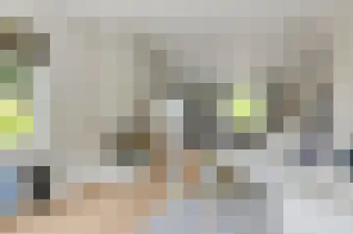 Stationsweg West 181 Woudenberg thumbnail 9