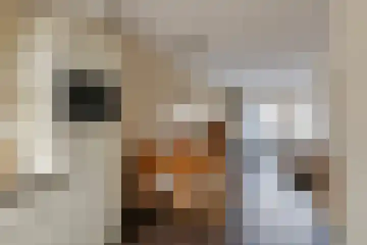 Stationsweg West 45 c Woudenberg thumbnail 9