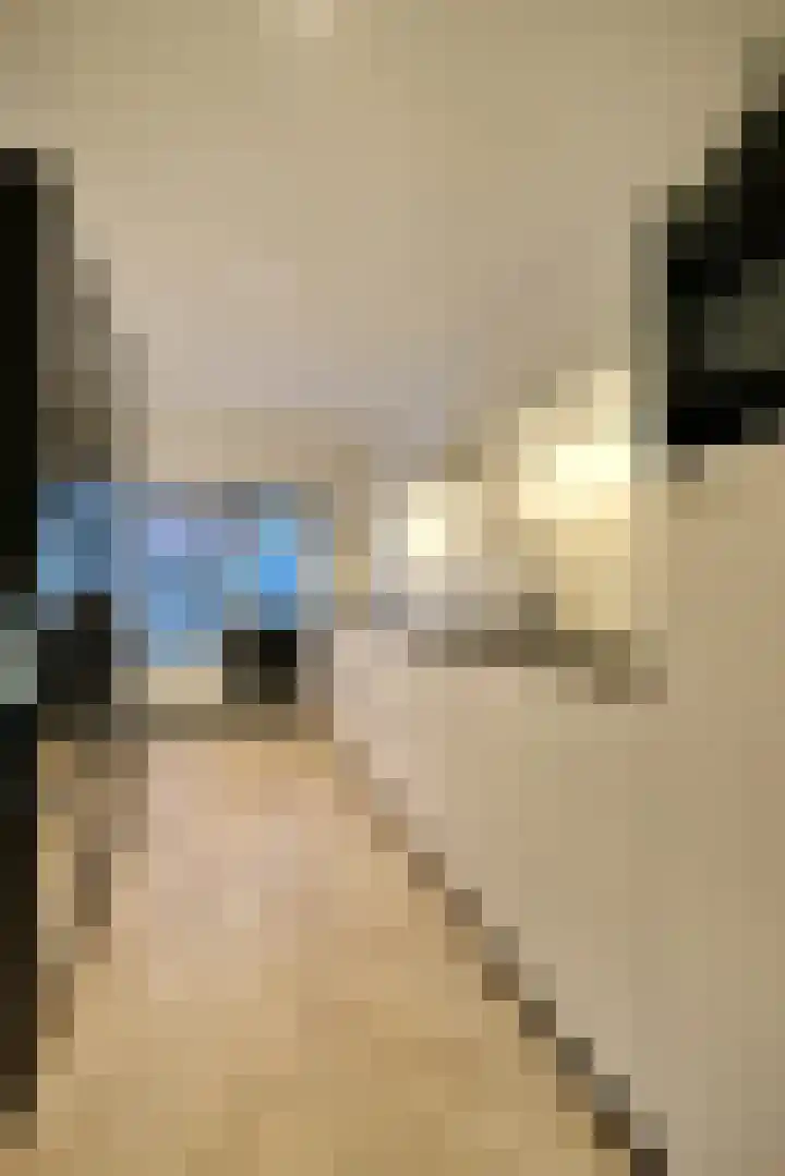 Stationsweg West 49 Woudenberg thumbnail 12