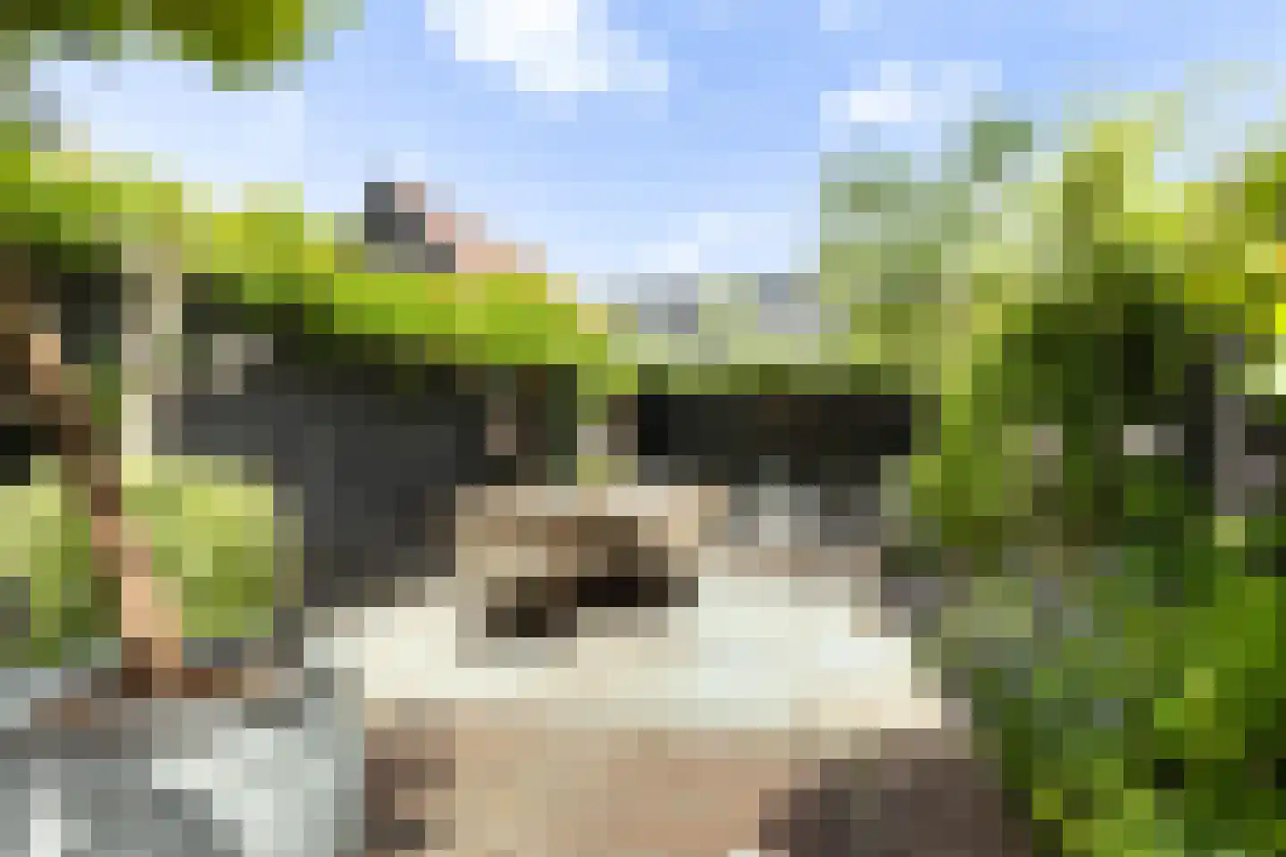 Stationsweg West 55 Woudenberg thumbnail 30