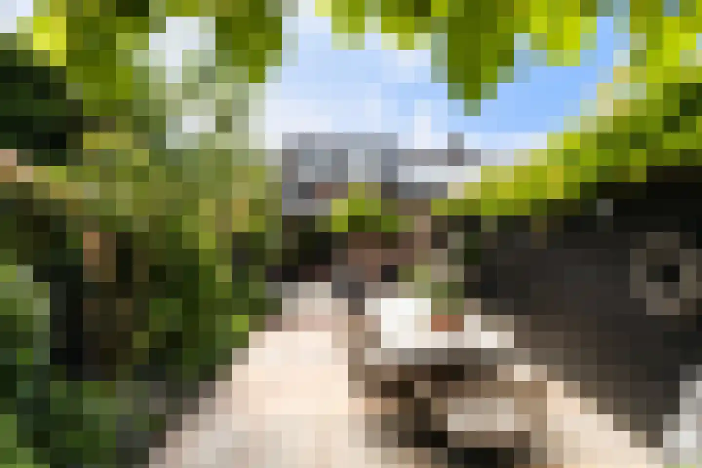 Stationsweg West 55 Woudenberg thumbnail 31