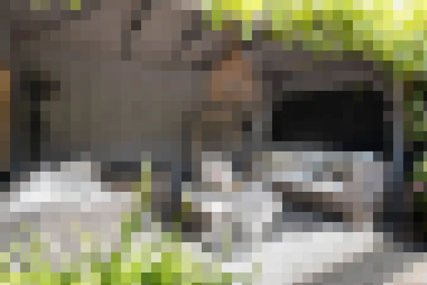 Stationsweg West 55 Woudenberg thumbnail 33