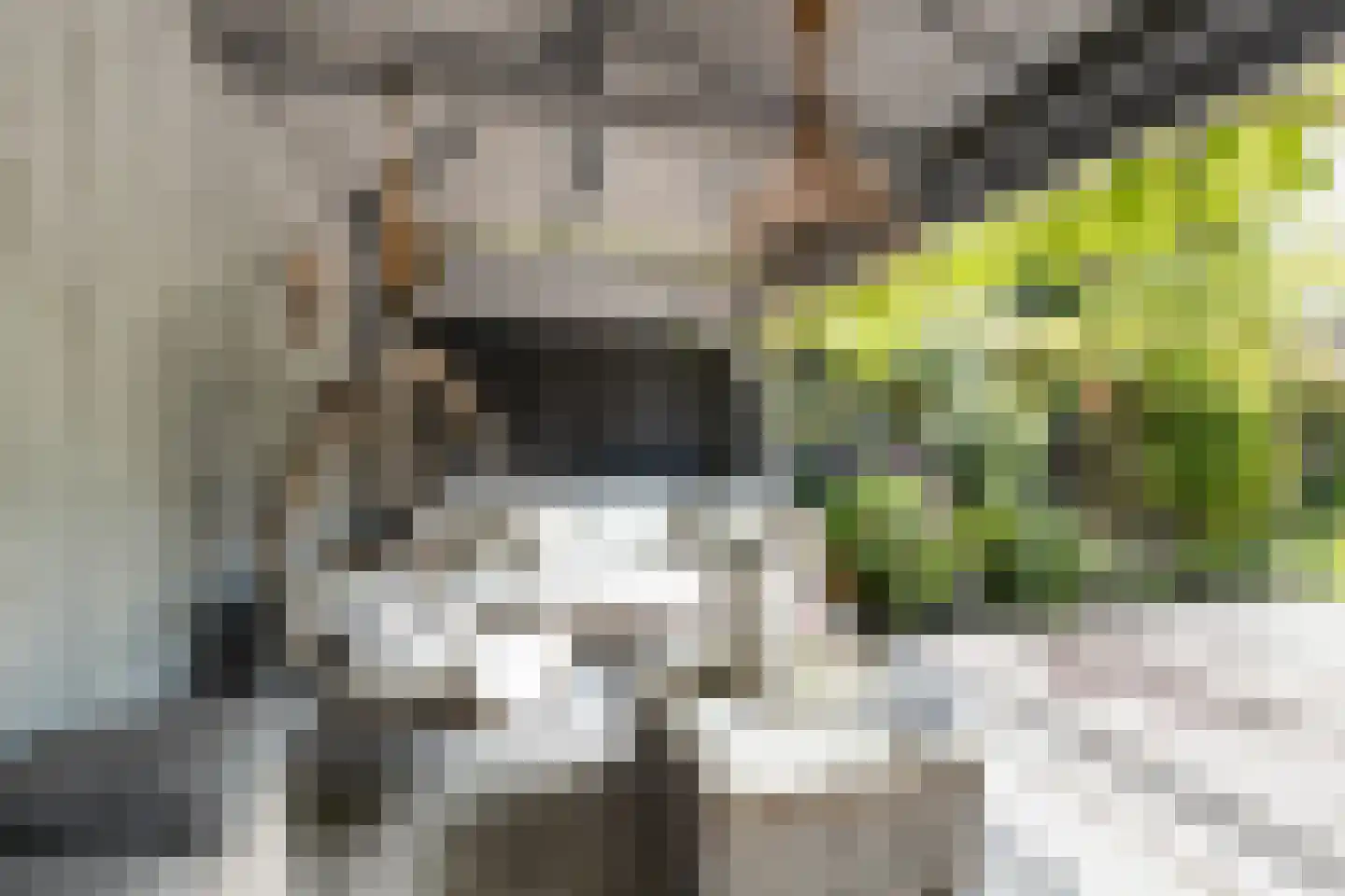 Stationsweg West 55 Woudenberg thumbnail 35