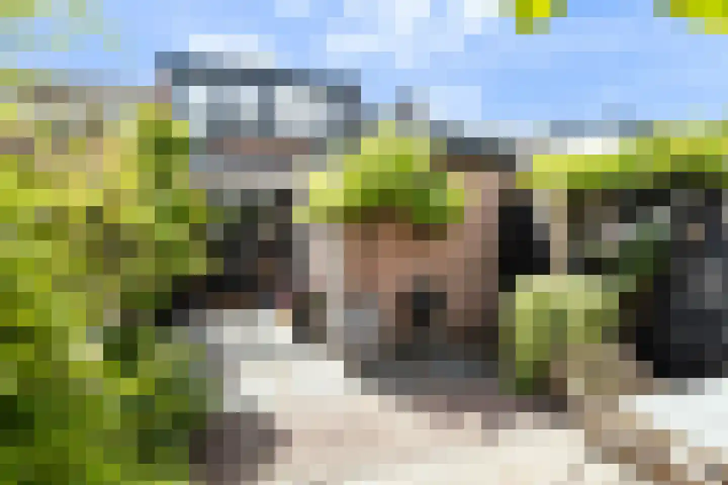 Stationsweg West 55 Woudenberg thumbnail 36