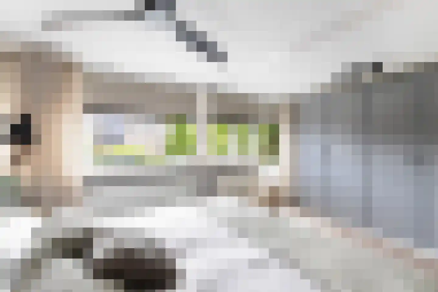 Stationsweg West 55 Woudenberg thumbnail 42