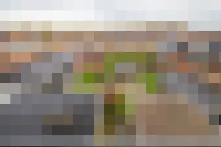 Stationsweg West 7 Woudenberg thumbnail 26