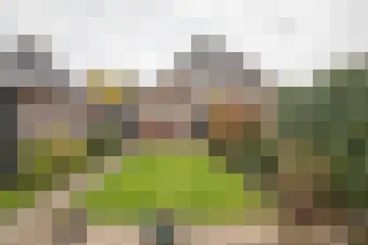 Stationsweg West 7 Woudenberg thumbnail 27