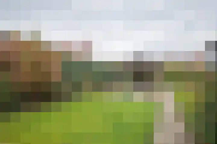 Stationsweg West 7 Woudenberg thumbnail 28
