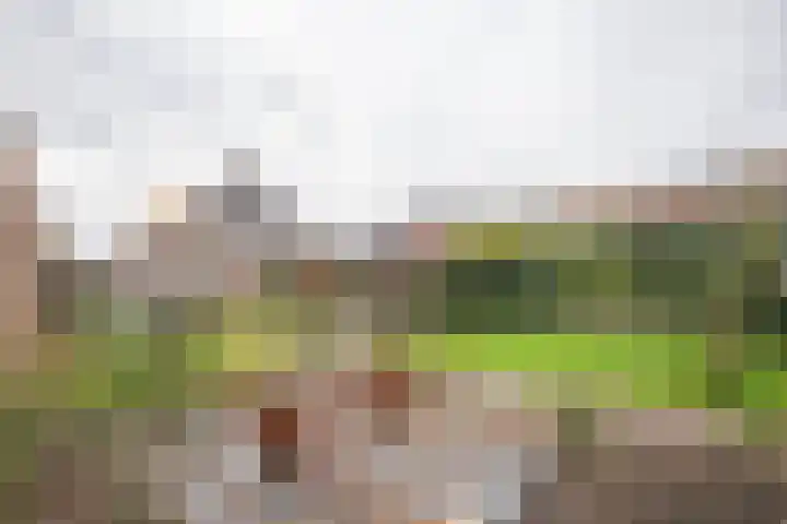 Stationsweg West 7 Woudenberg thumbnail 34