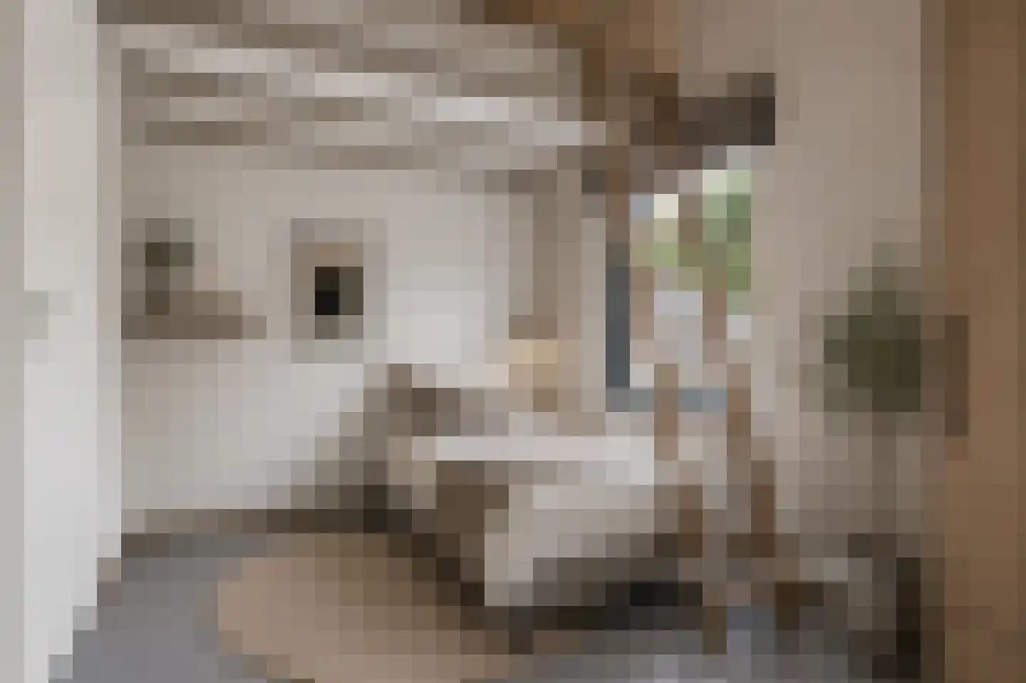 Stationsweg West 8 a Woudenberg thumbnail 34
