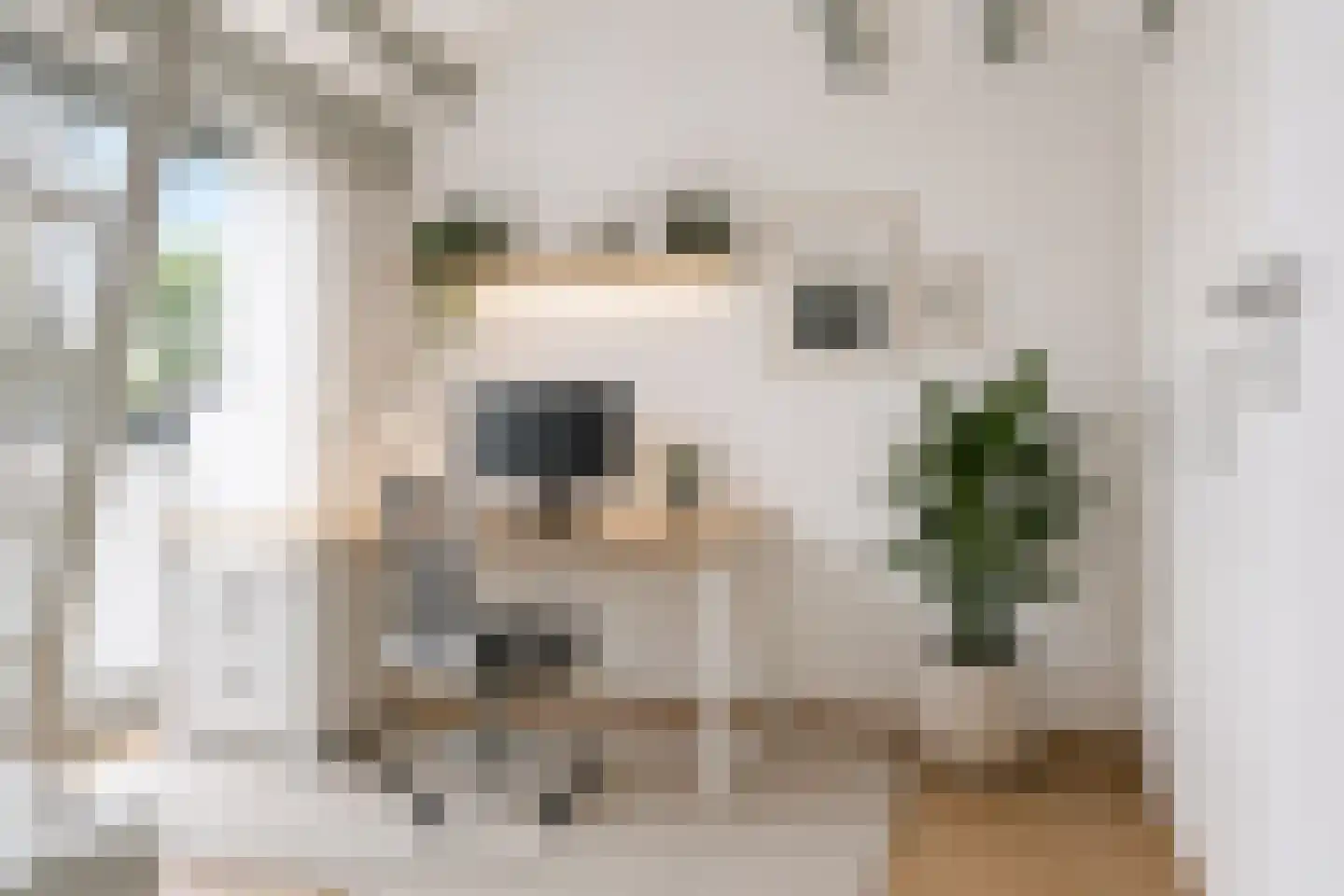 Stationsweg West 8 a Woudenberg thumbnail 37