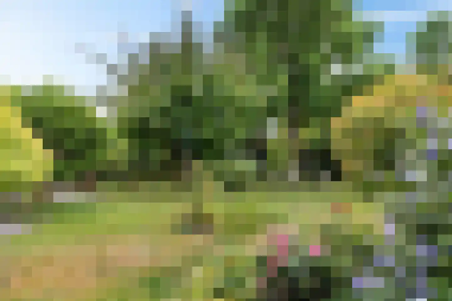 Stationsweg West 8 a Woudenberg thumbnail 4