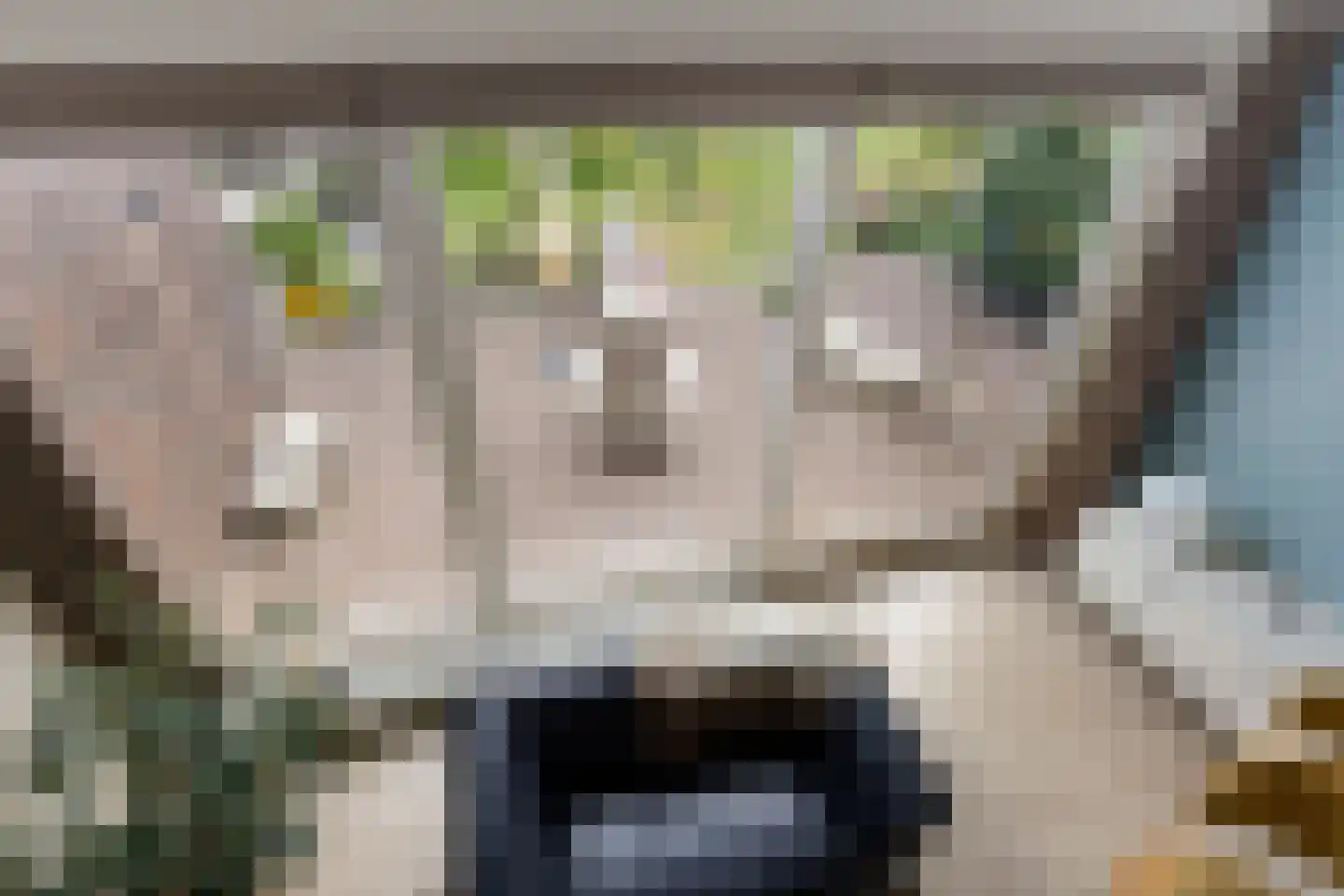 Stationsweg West 8 a Woudenberg thumbnail 42