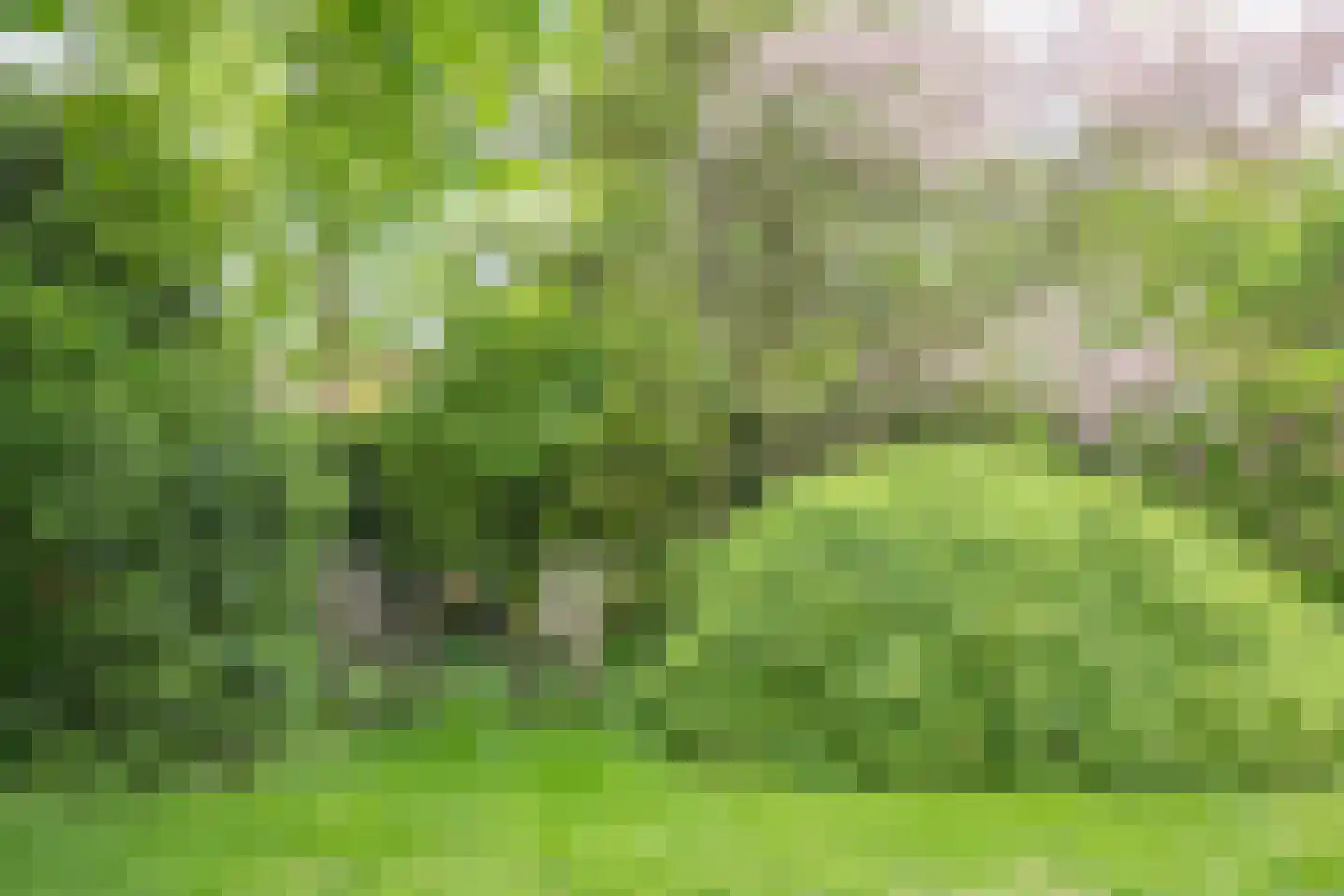 Stationsweg West 8 a Woudenberg thumbnail 47