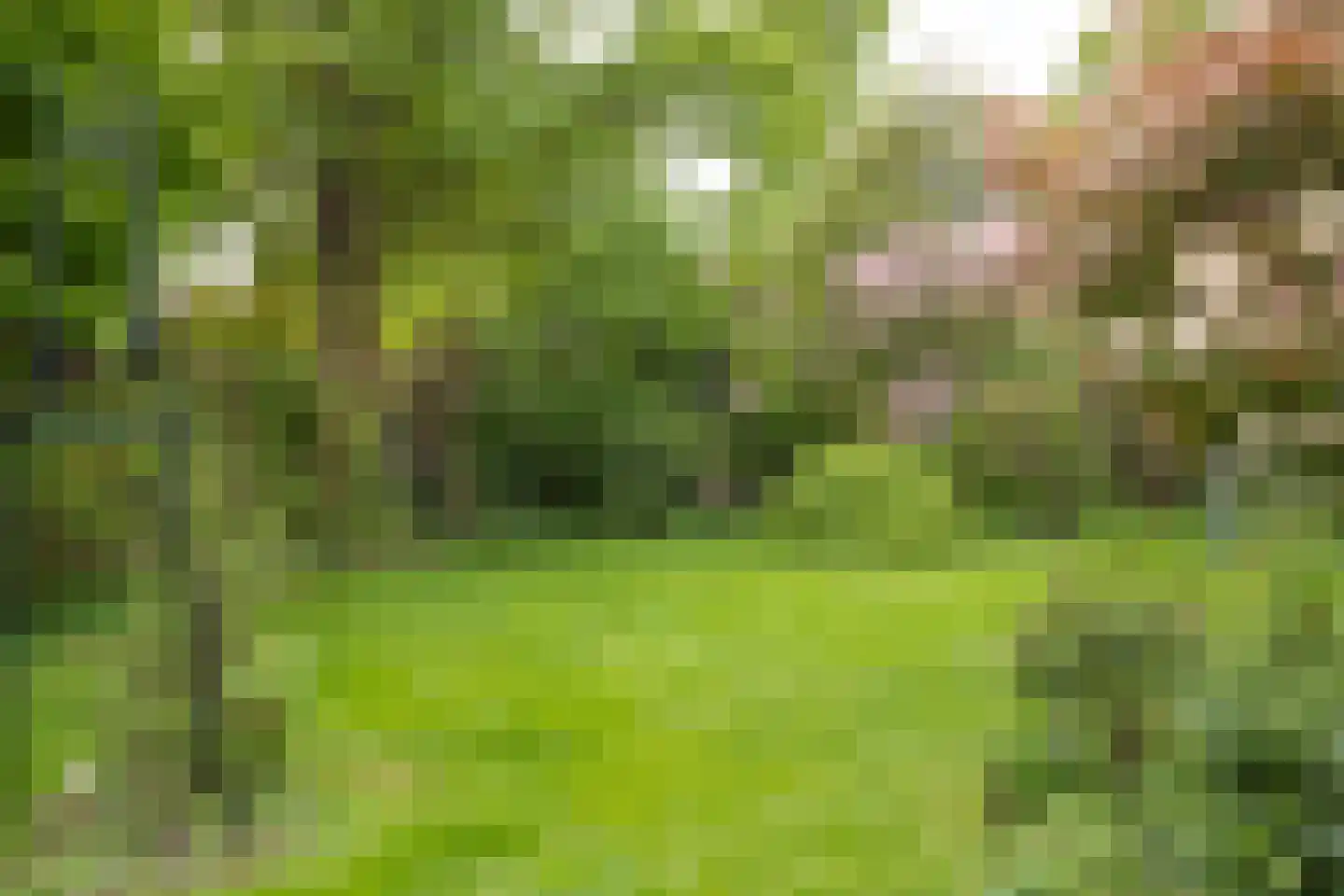 Stationsweg West 8 a Woudenberg thumbnail 48