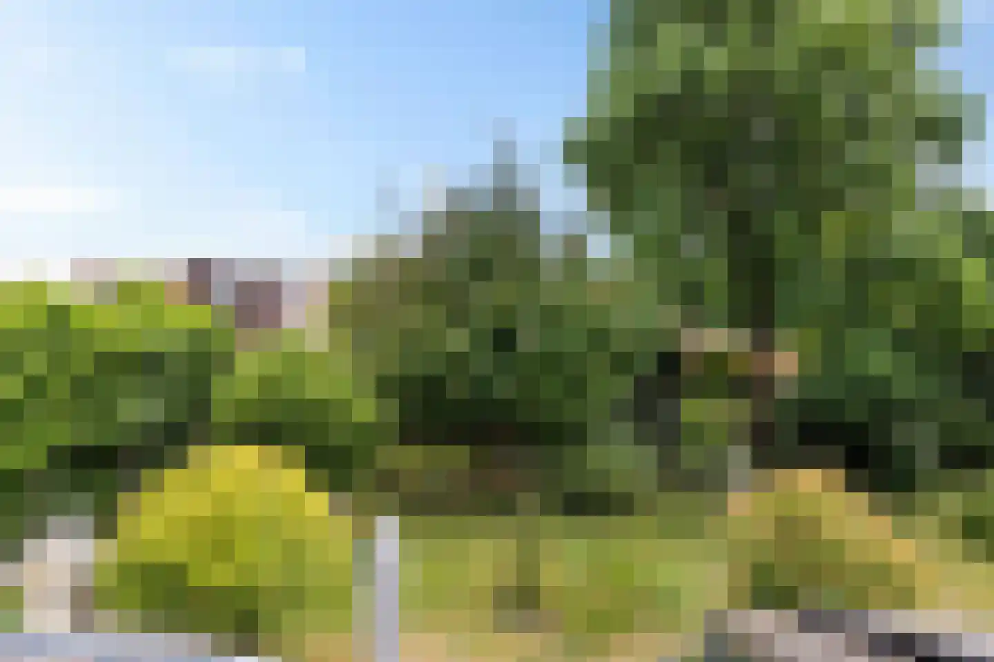 Stationsweg West 8 a Woudenberg thumbnail 49