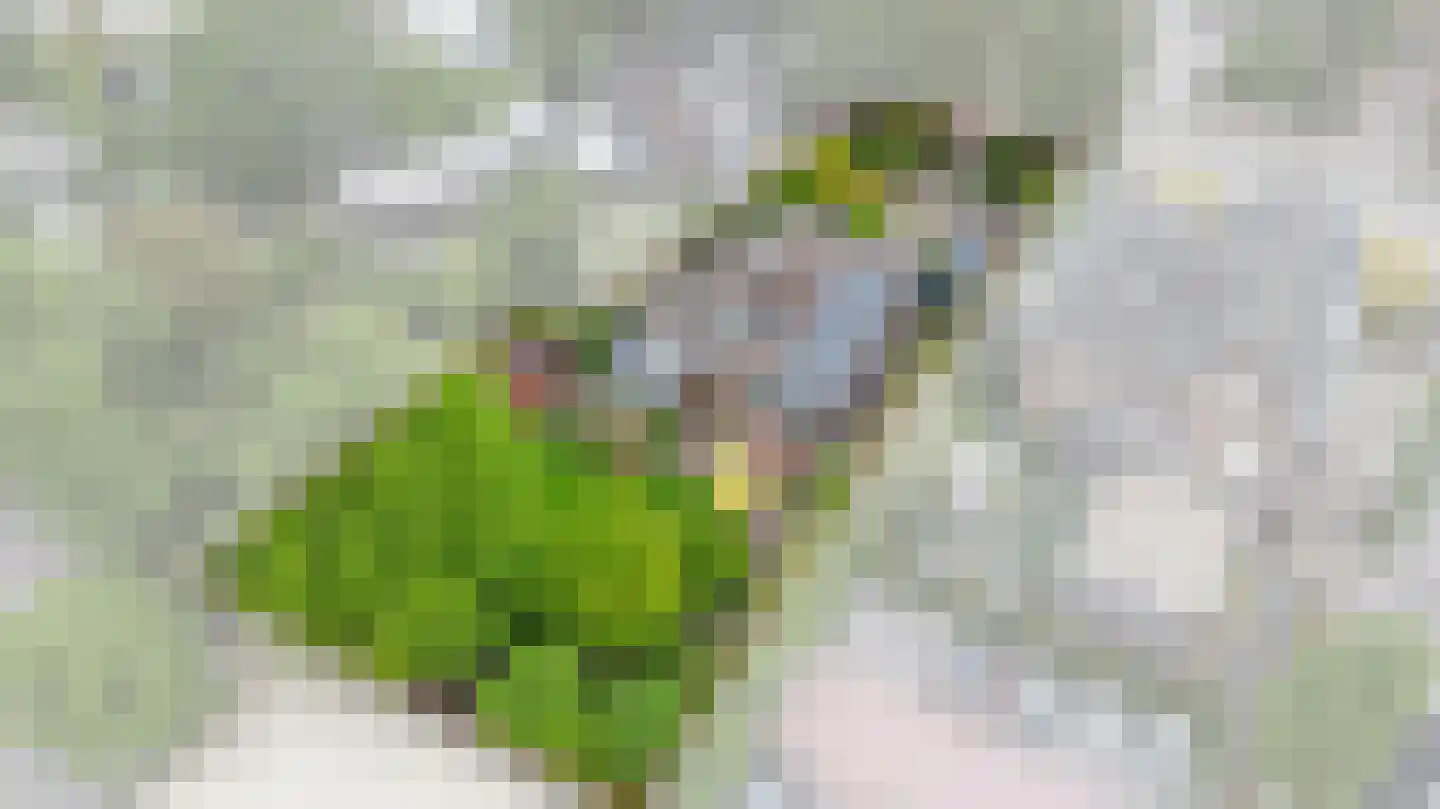 Stationsweg West 8 a Woudenberg thumbnail 50