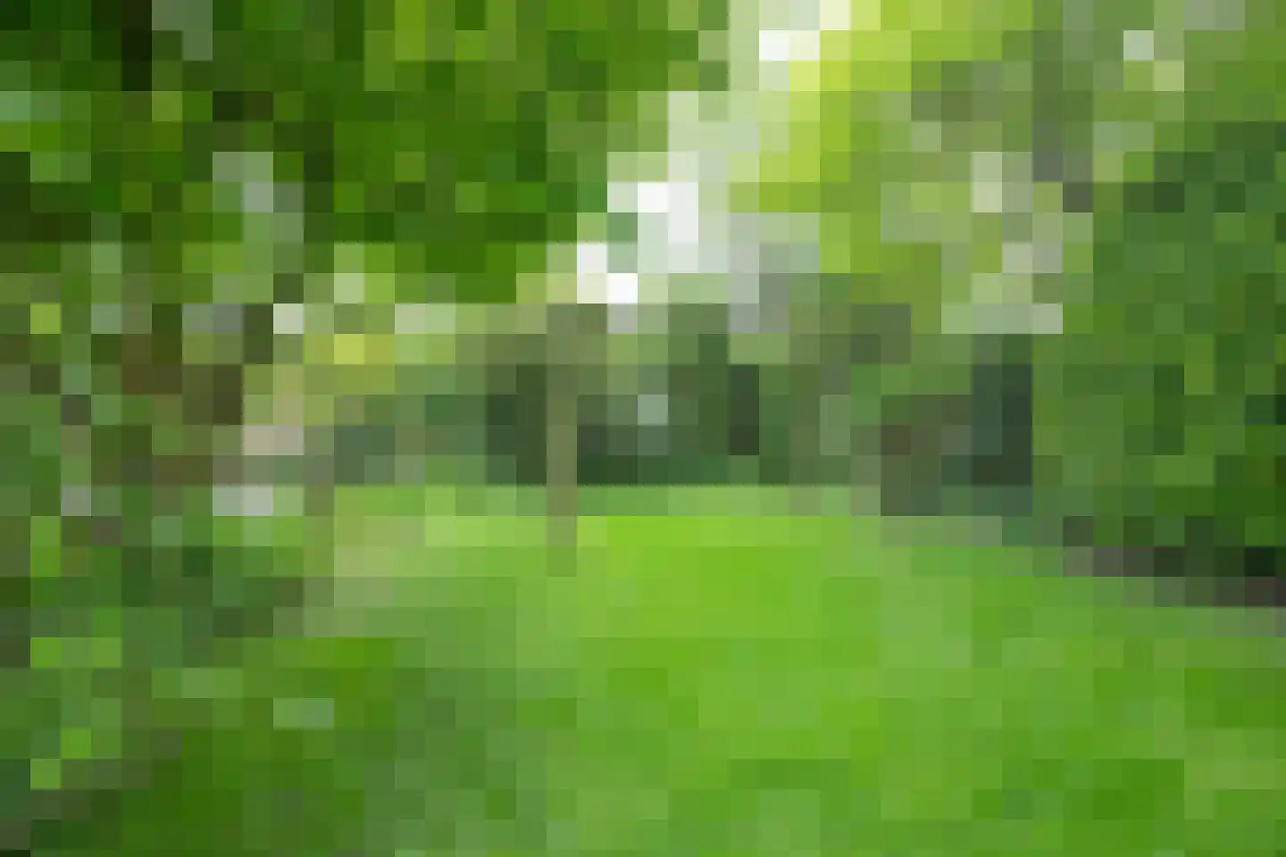 Stationsweg West 8 a Woudenberg thumbnail 50