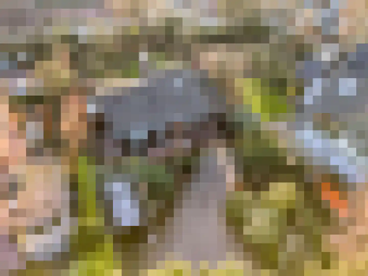 Stationsweg West 8 a Woudenberg thumbnail 56