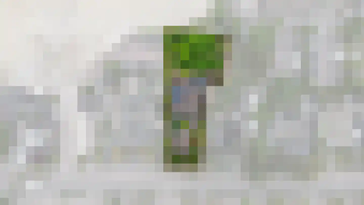 Stationsweg West 8 a Woudenberg thumbnail 60