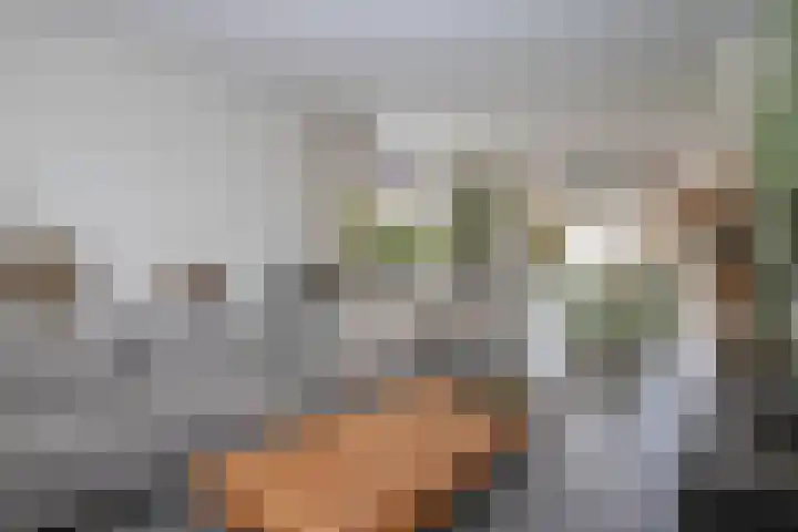 Stationsweg West 81 Woudenberg thumbnail 19