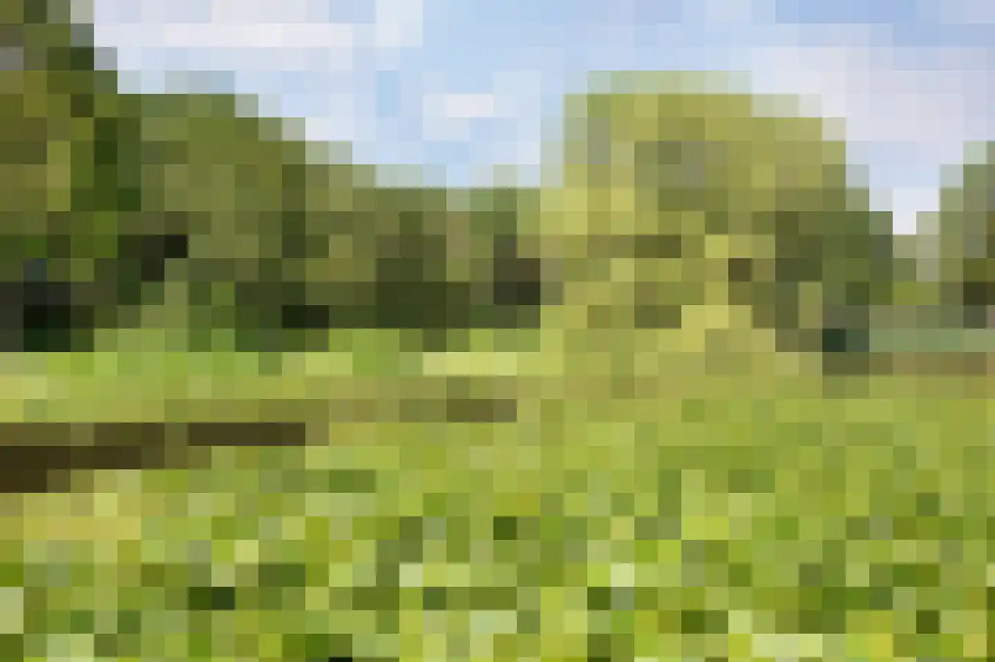 Stationswei 26 Molkwerum thumbnail 20