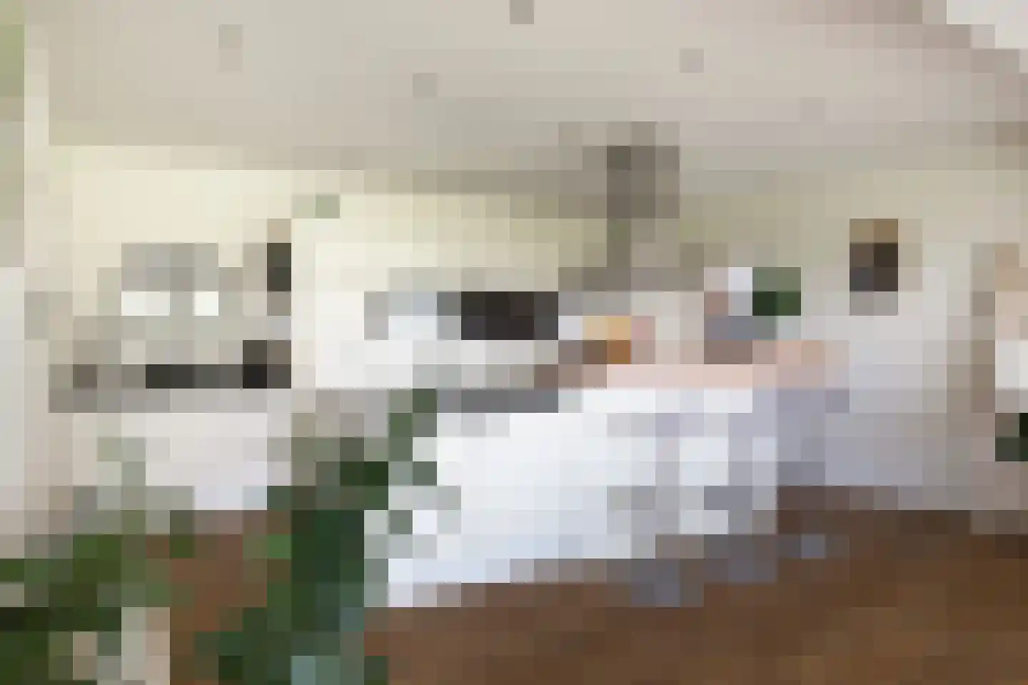 Stationswei 26 Molkwerum thumbnail 22