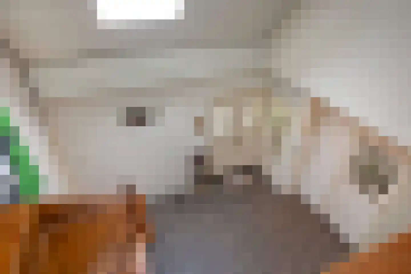 Stationswei 26 Molkwerum thumbnail 40