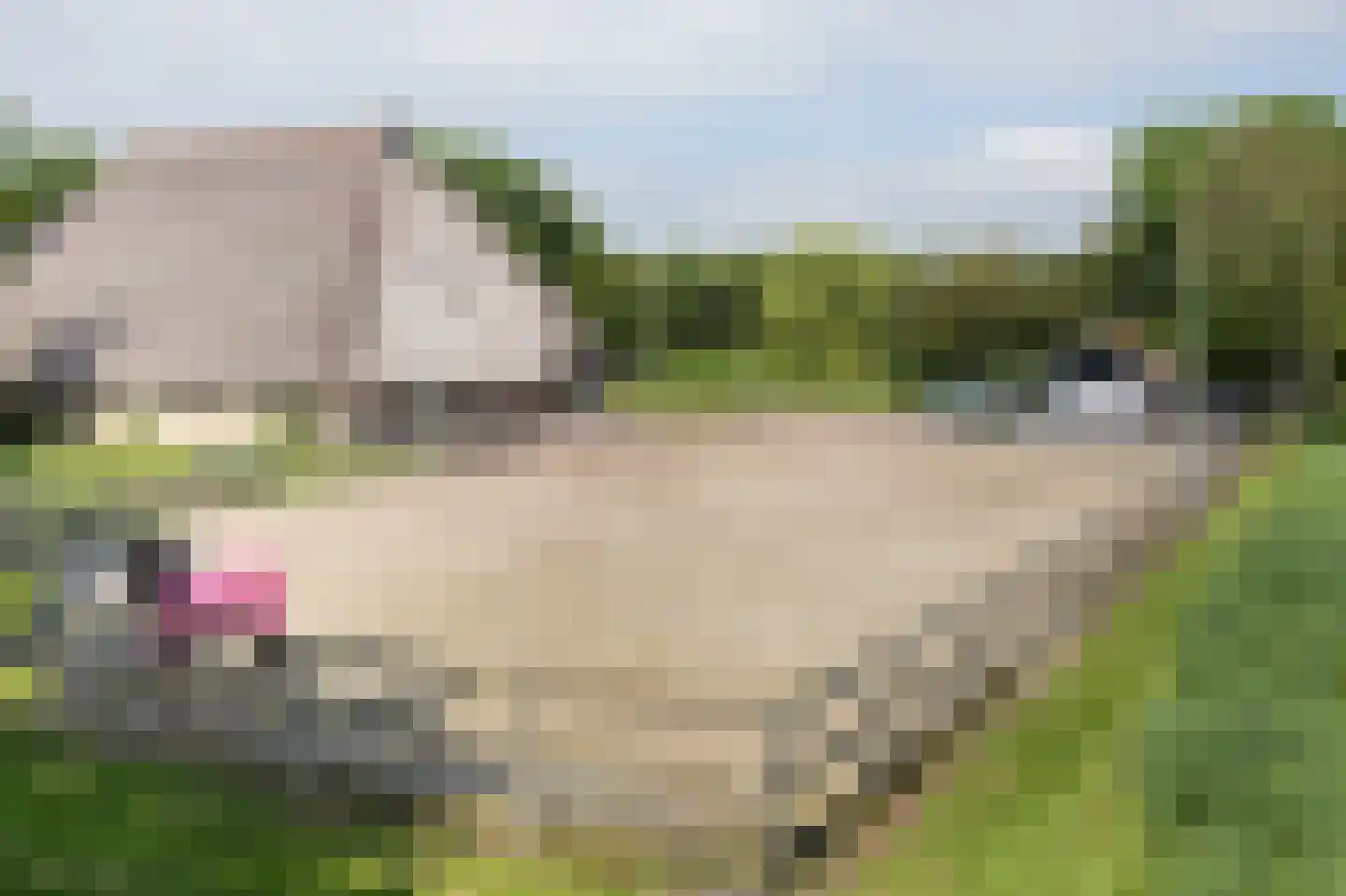 Stationswei 26 Molkwerum thumbnail 8