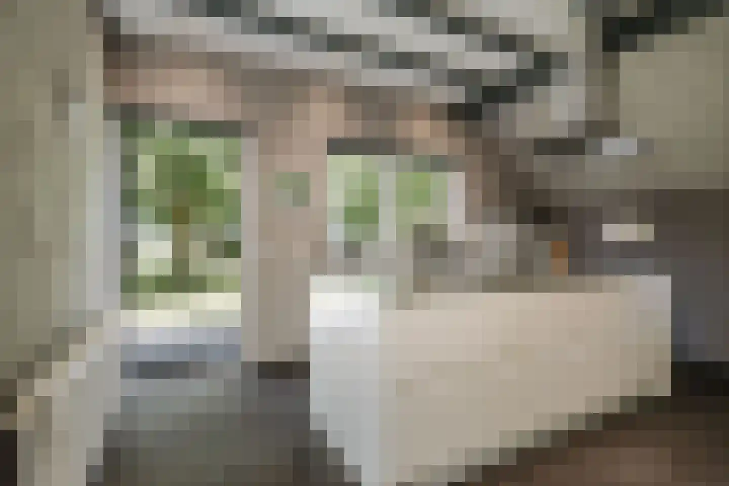 Statumweg 11 Lemelerveld thumbnail 16