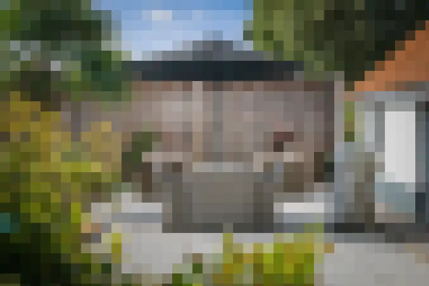 Statumweg 11 Lemelerveld thumbnail 24