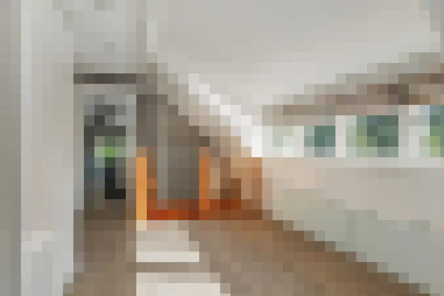 Statumweg 11 Lemelerveld thumbnail 26