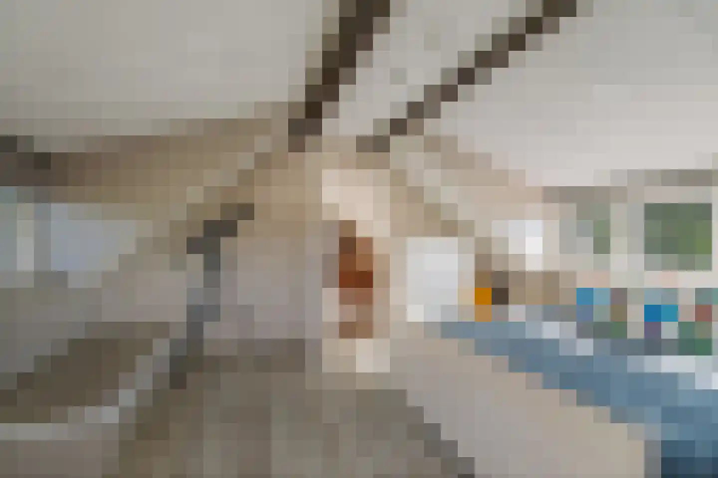 Statumweg 11 Lemelerveld thumbnail 32