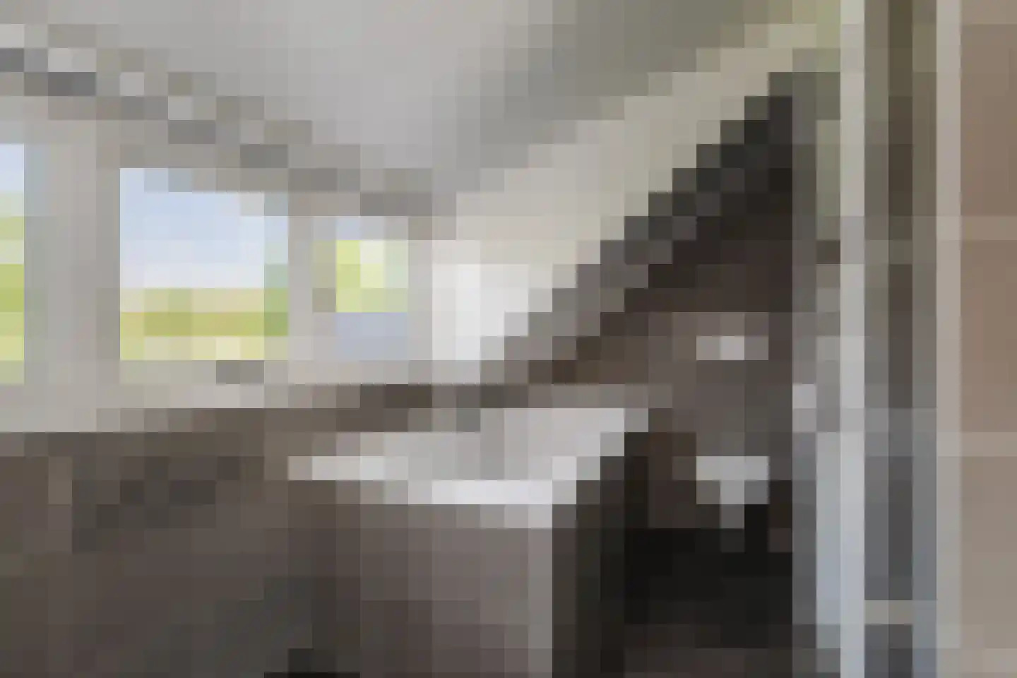 Statumweg 11 Lemelerveld thumbnail 34