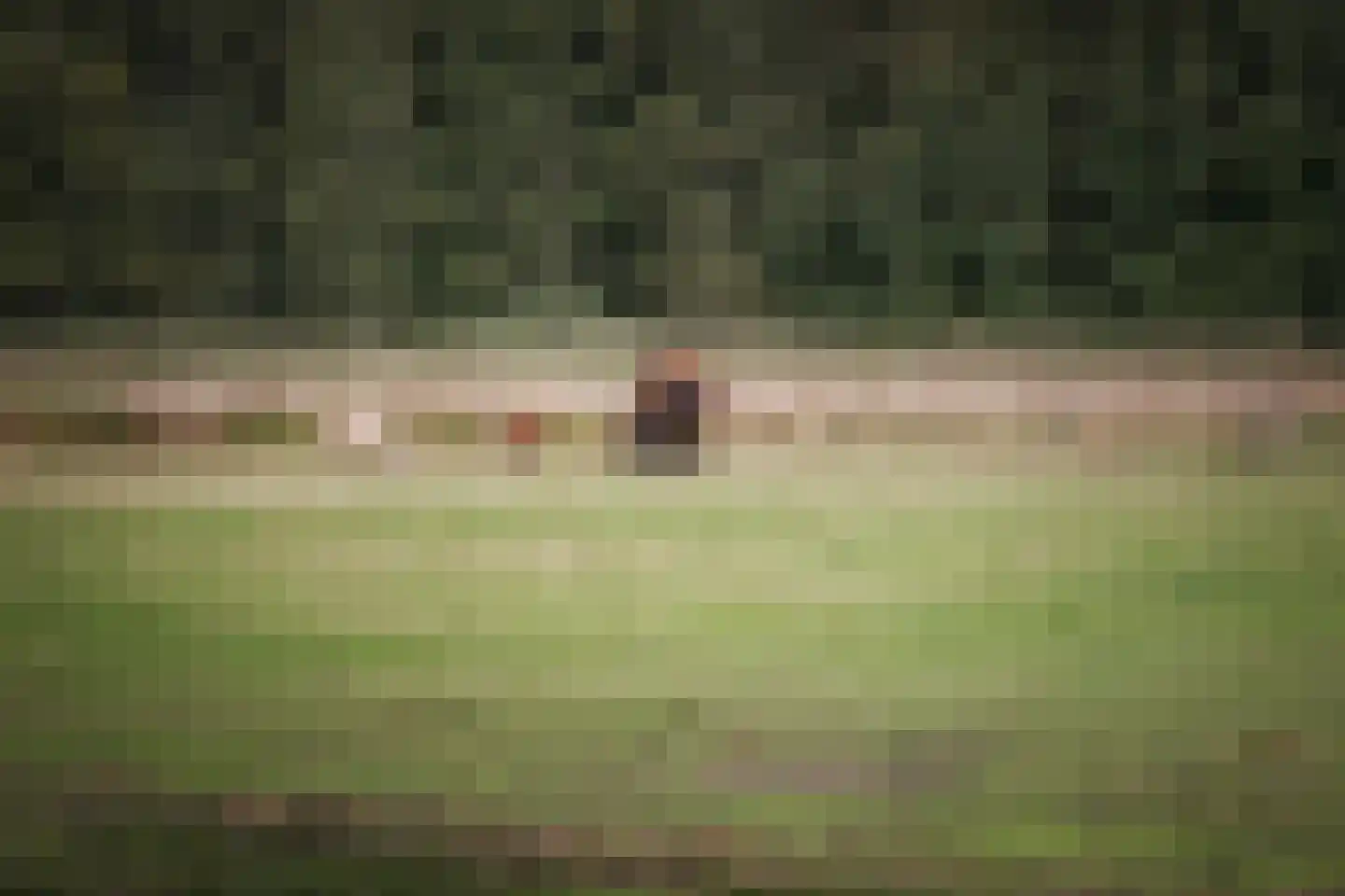 Statumweg 11 Lemelerveld thumbnail 43