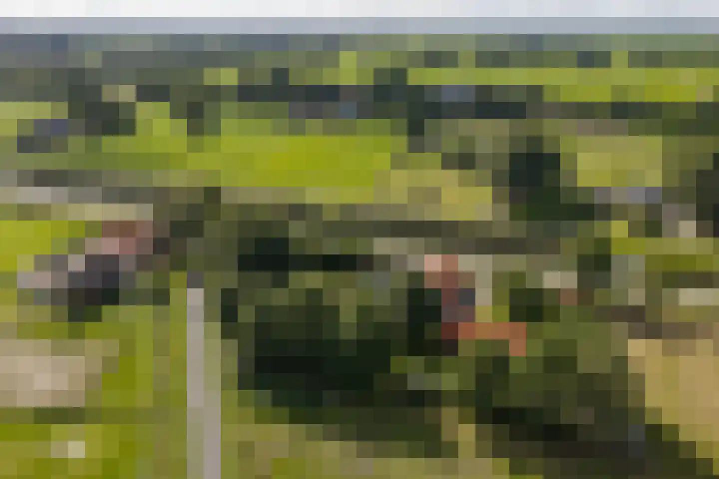 Statumweg 11 Lemelerveld thumbnail 49
