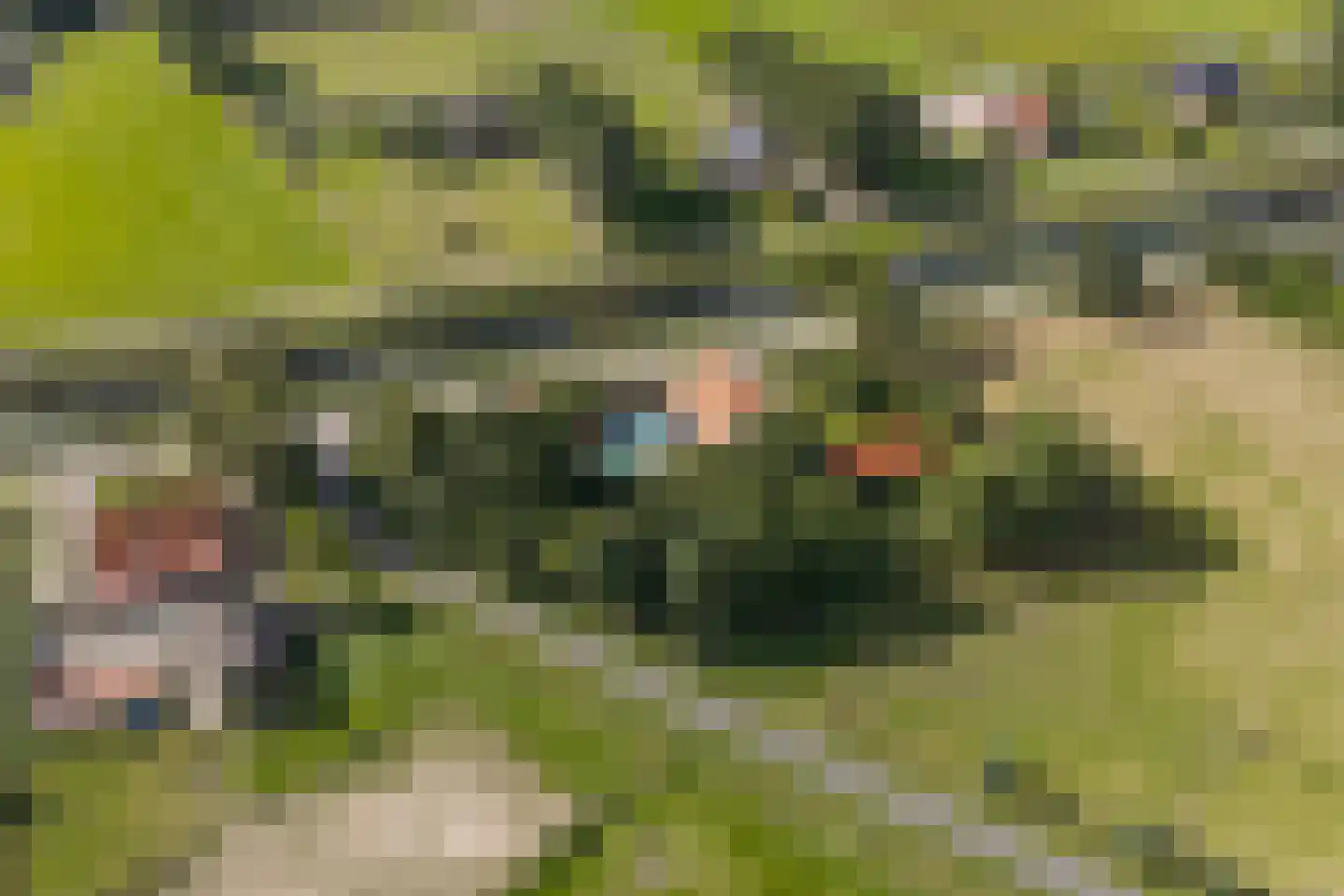 Statumweg 11 Lemelerveld thumbnail 6