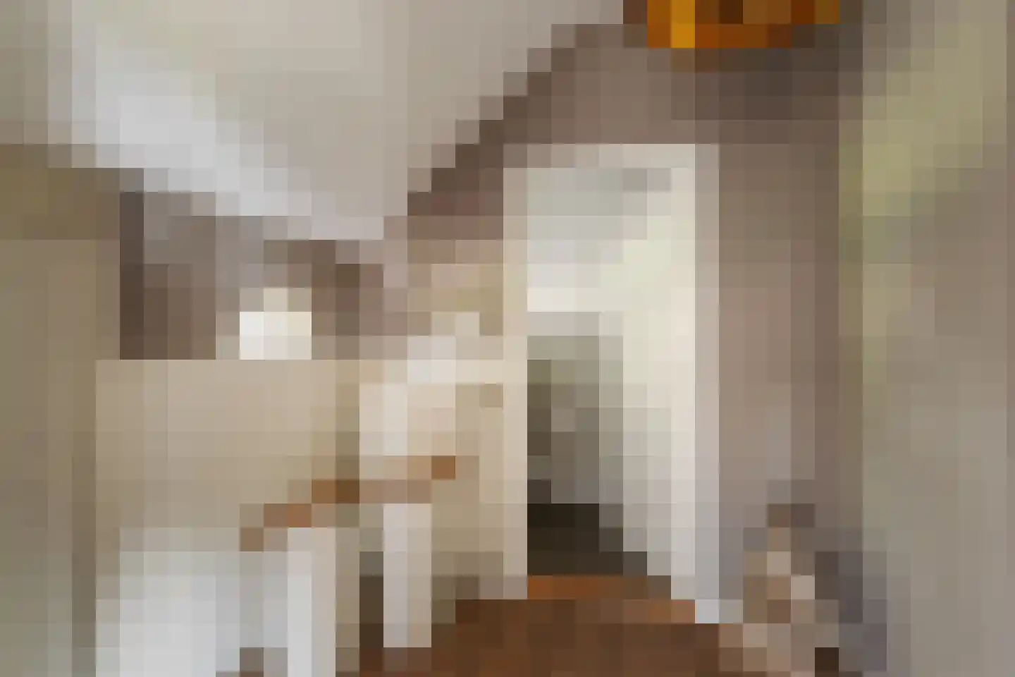 Statumweg 11 Lemelerveld thumbnail 7