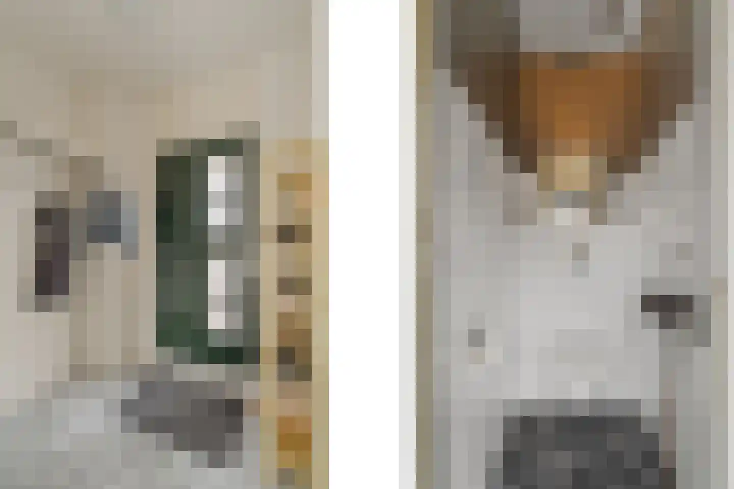 Stavangererf 3 Rotterdam thumbnail 11