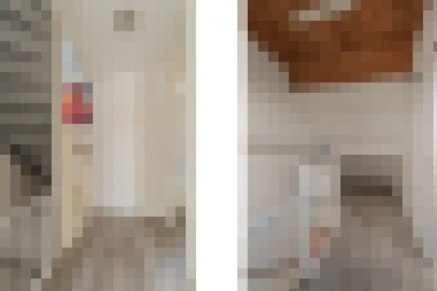 Stavangererf 3 Rotterdam thumbnail 12