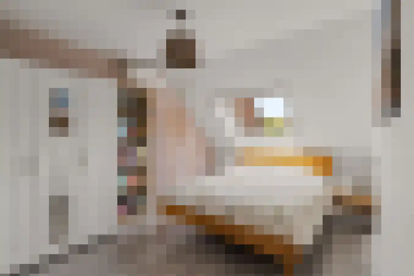 Stavangererf 3 Rotterdam thumbnail 15
