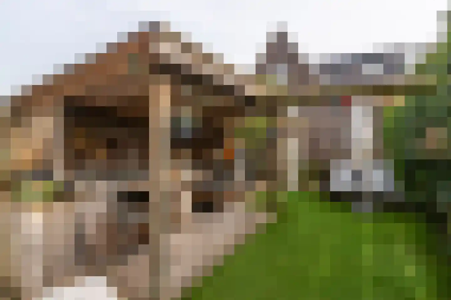 Stavangerstraat 22 Den Haag thumbnail 4