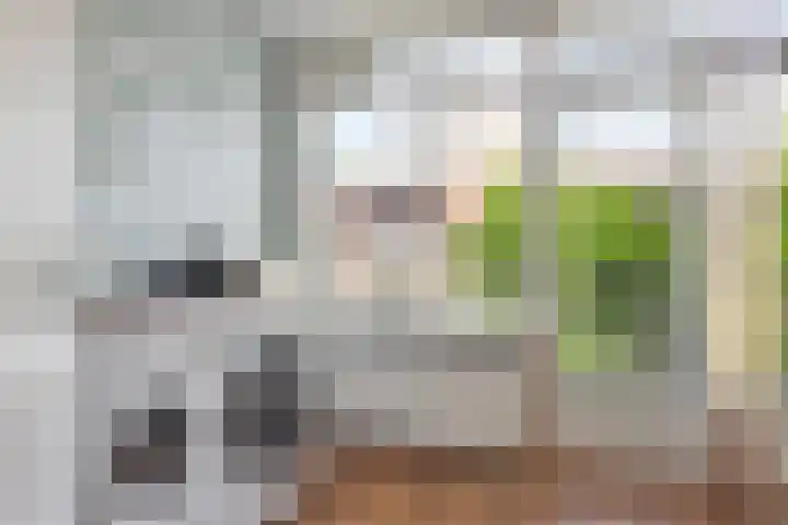 Stavenissestraat 21 Rotterdam thumbnail 21