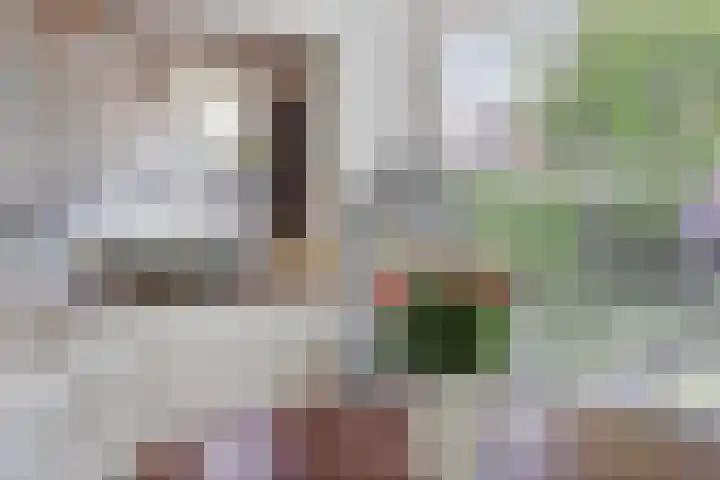 Stavenissestraat 21 Rotterdam thumbnail 9