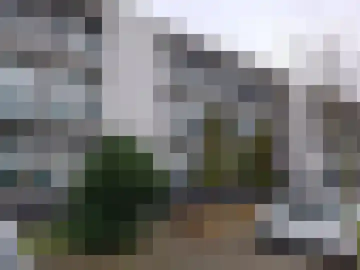 Stavenissestraat 297 in Rotterdam