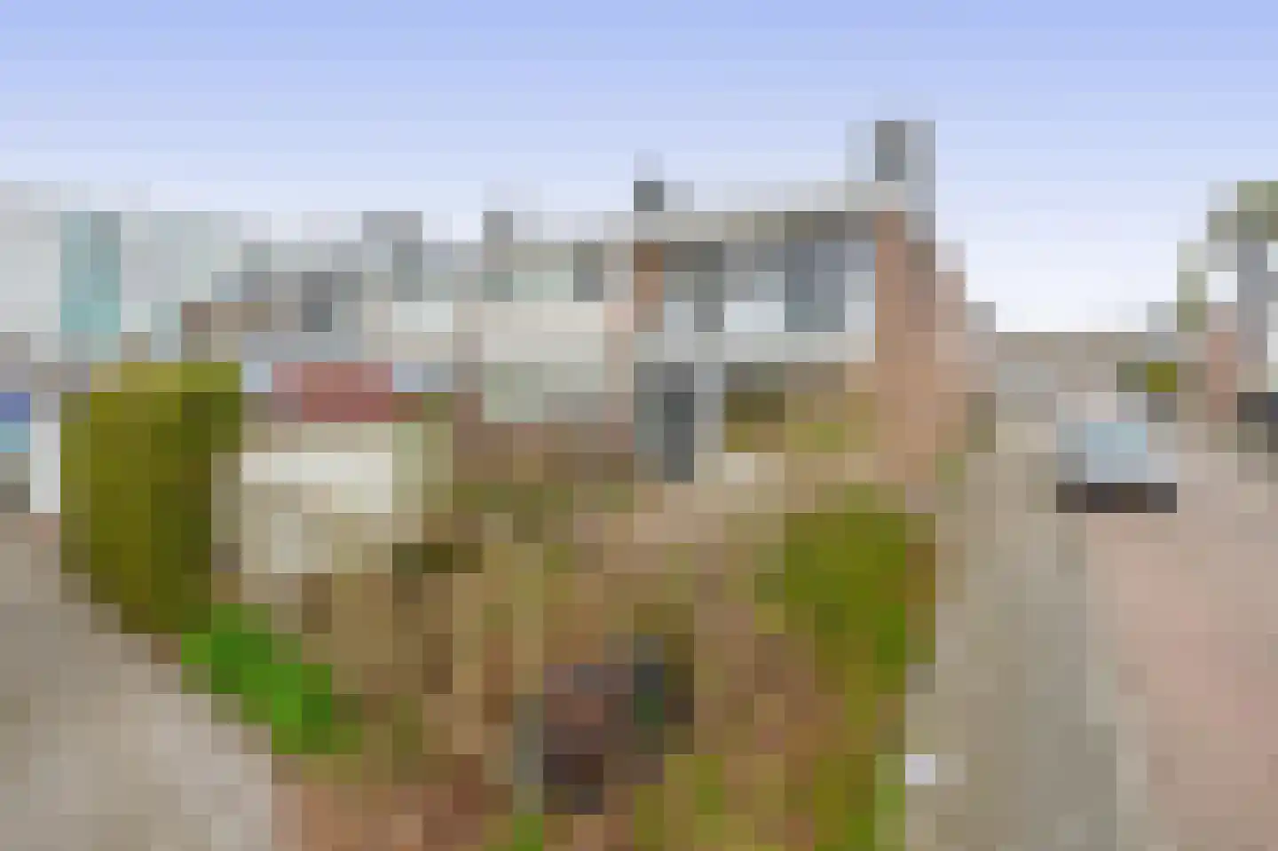 Stavenissestraat 327 Rotterdam thumbnail 34