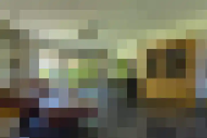 Staverden 18 Barneveld thumbnail 10