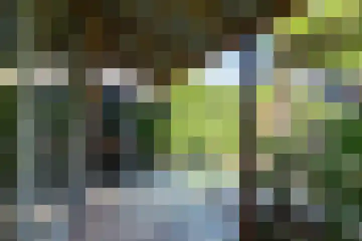 Staverden 18 Barneveld thumbnail 34